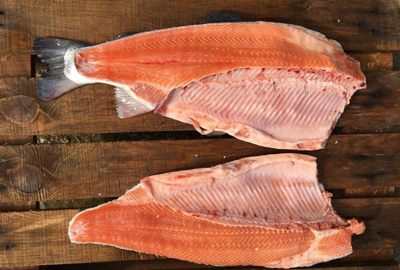 Frozen Gutted Trout